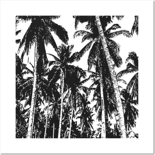 Palm Trees Design as Silhouette Effect in Black and White Posters and Art